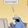 delete cookies.jpg