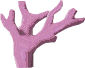Pink-Coral.png