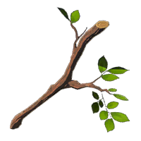 Tree Branch - HWAoC icon.png