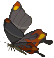 File:Smotherwing Butterfly - TotK icon.png