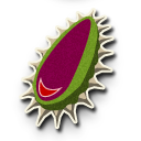 File:TWWHD-Boko-Baba-Seed-Icon.png