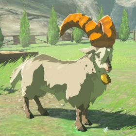 File:Hyrule-Compendium-White-Goat.png