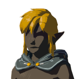 File:Hylian Hood (down) - TotK icon.png