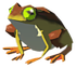 Tireless-frog.png