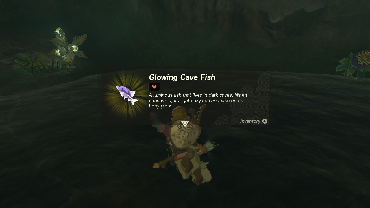 TotK Glowing Cave Fish.jpg