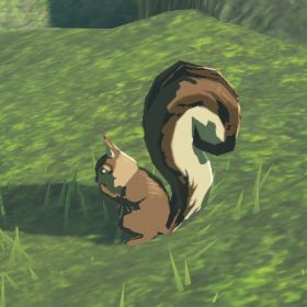 File:Hyrule-Compendium-Bushy-Tailed-Squirrel.png