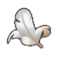 File:Bird Feather (Skyward Sword).png