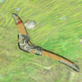Hyrule Compendium picture of the standard Boomerang in Breath of the Wild