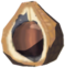 Chickaloo Tree Nut