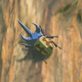 Hyrule Compendium entry of the Bladed Rhino Beetle.