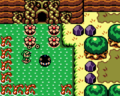 BowWow and Link at the entrance of Bottle Grotto (Link's Awakening DX)