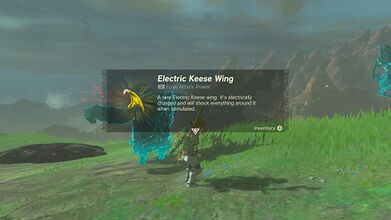 Link picking up an Electric Keese Wing in Tears of the Kingdom