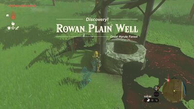 Rowan-Plain-Well.jpg