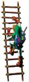 Adult Link scaling a ladder