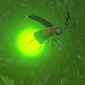 Breath of the Wild Hyrule Compendium picture of the Sunset Firefly.