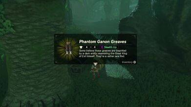 Acquire the Phantom Ganon Greaves.
