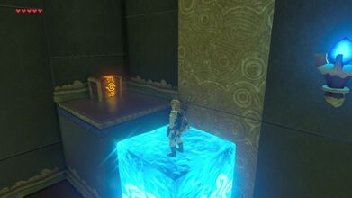 Use Cryonis to reach the treasure chest.