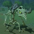 Stalizalfos from Breath of the Wild