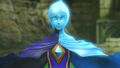 Fi within the Sealed Grounds in Hyrule Warriors