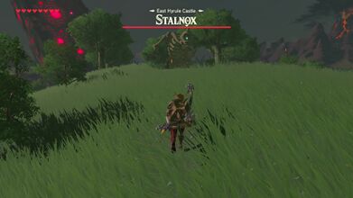 Fighting a Stalnox at East Hyrule Castle.