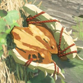 Breath of the Wild Hyrule Compendium picture of the Dragonbone Boko Shield.