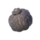 Hearty Truffle.png