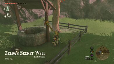 Drop down Zelda's Secret Well