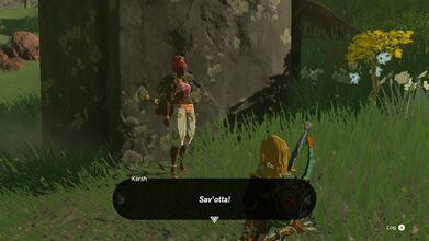 Link talking to Karsh in Tears of the Kingdom