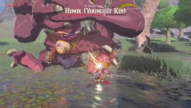 Fight the Hinox Brothers.