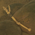 Breath of the Wild Hyrule Compendium picture of a Moblin Arm.