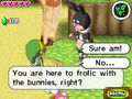 Screenshot of the Rabbitland Rescue Man and Link talking
