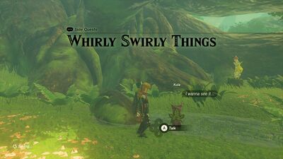 Whirly Swirly Things - TotK.jpg
