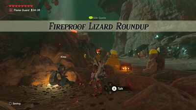 Fireproof-Lizard-Roundup-2.jpg