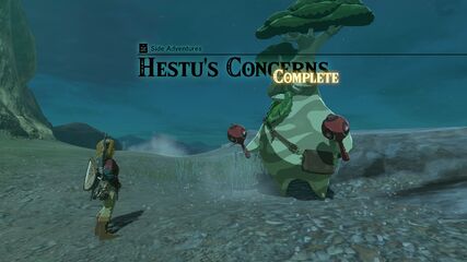 Completing Hestu's Concerns.