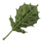 Korok Leaf