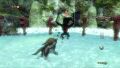 Shadow Beast in Ordon Spring from Twilight Princess