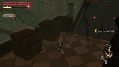 After defeating the Guardians in the Library, climb the steps to the second floor. The Korok is hiding in the crates at the southwest part of the room.