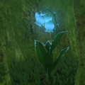 Breath of the Wild Hyrule Compendium picture of the Blue Nightshade.