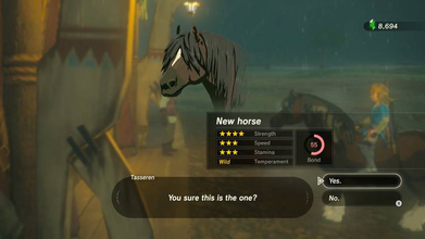 Link's Horse statistics; note the long mane.