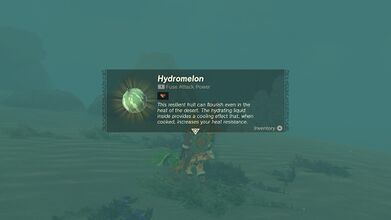 Link picking up a Hydromelon in Tears of the Kingdom