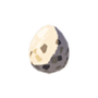 Bird Egg.png