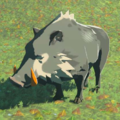 Red-Tusked Boar