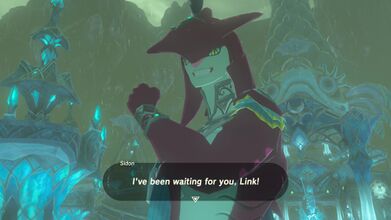 Link will be greeted by Sidon.