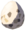 Bird Egg - TotK icon.png