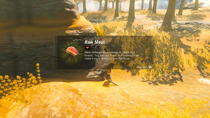 File:TotK Raw Meat.jpg