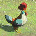 Cucco from Breath of the Wild