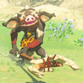 Breath of the Wild Hyrule Compendium picture of the Black Bokoblin.