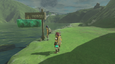 Location - Lake Hylia Found east of the Bridge of Hylia at the southeast portion of Lake Hylia. Use a Hover Stone to hold up the sign.