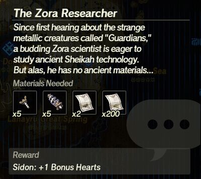 The-Zora-Researcher.jpg