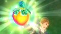 Link obtaining the Life Tree Fruit